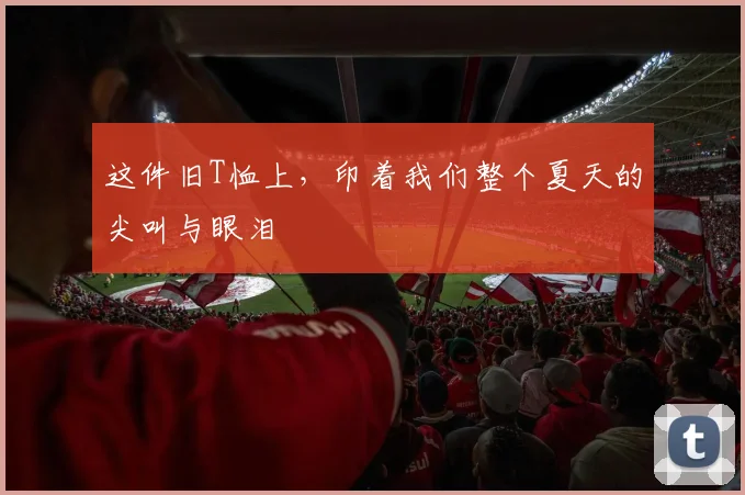 这件旧T恤上，印着我们整个夏天的尖叫与眼泪