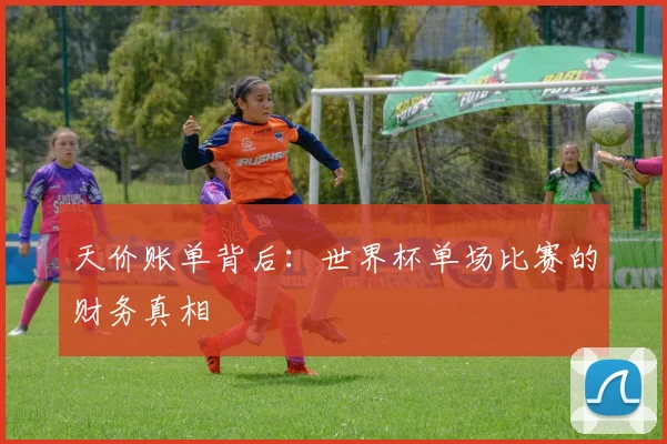 天价账单背后：世界杯单场比赛的财务真相